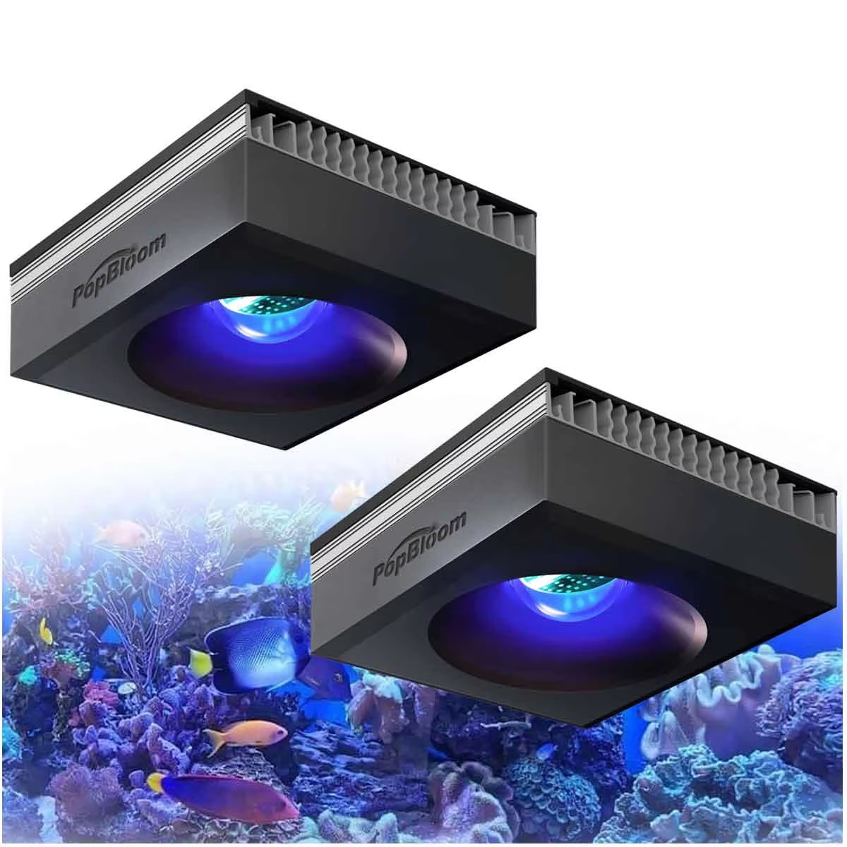Marine Aquarium Reef - PopBloom RL90 Luce LED WiFi per