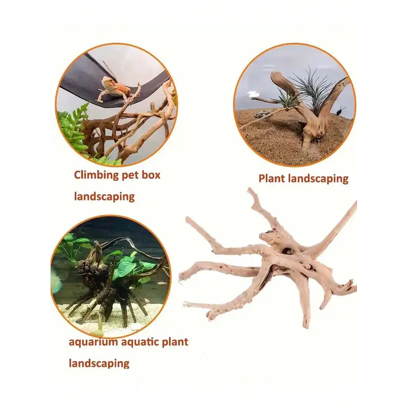 Legno Naturale per Decorazione - Aquarium Innovative Marine recensione e prezzo