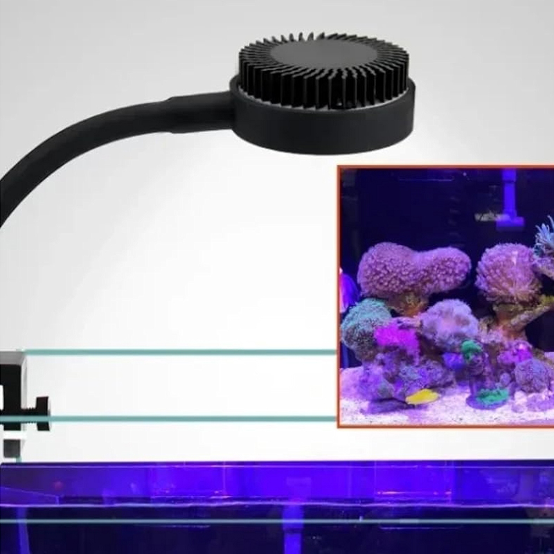 Carro armato delle alghe della - Marine Aquarium Reef recensione e prezzo