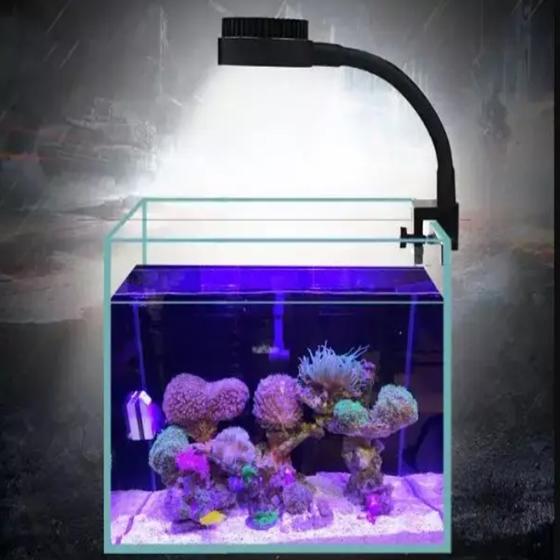 Carro armato delle alghe della - Marine Aquarium Reef recensione e prezzo