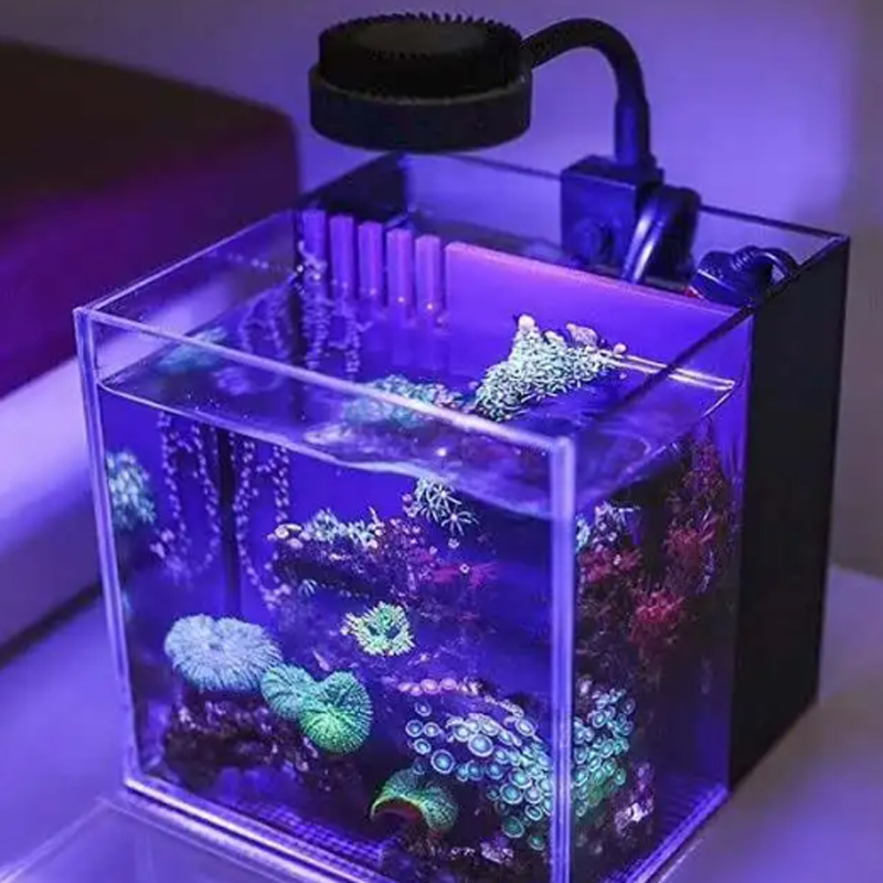 Carro armato delle alghe della - Marine Aquarium Reef recensione e prezzo