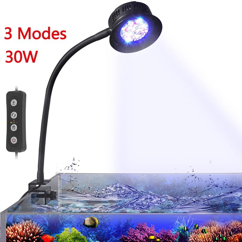 Acquario LED Reef Luce Acqua d - Marine Aquarium Reef recensione e prezzo