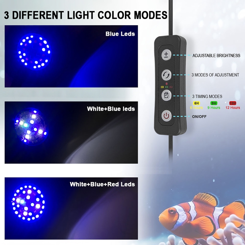 Acquario LED Reef Luce Acqua d - Marine Aquarium Reef recensione e prezzo