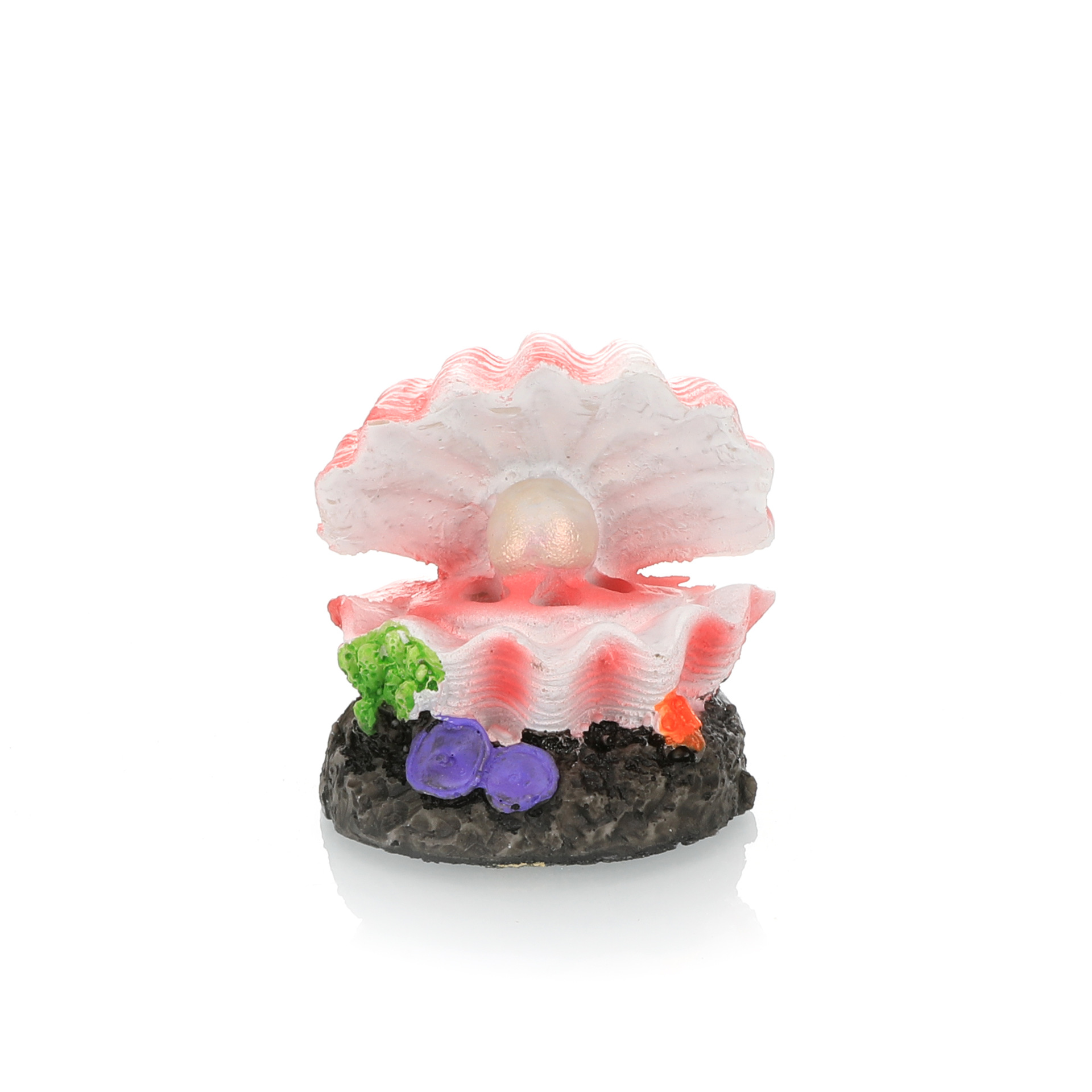 Simulazione paesaggistica per  - Aquarium Innovative Marine recensione e prezzo