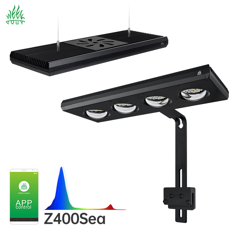 Lampada LED per Acquario Week  - Aqua Marine Tank recensione e prezzo