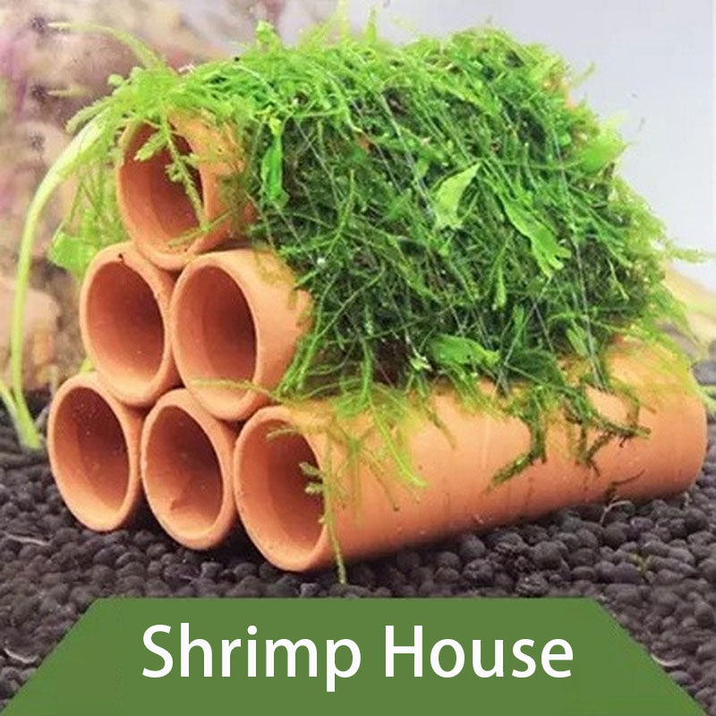 Decorazione per acquario in ar - Aquarium Innovative Marine recensione e prezzo