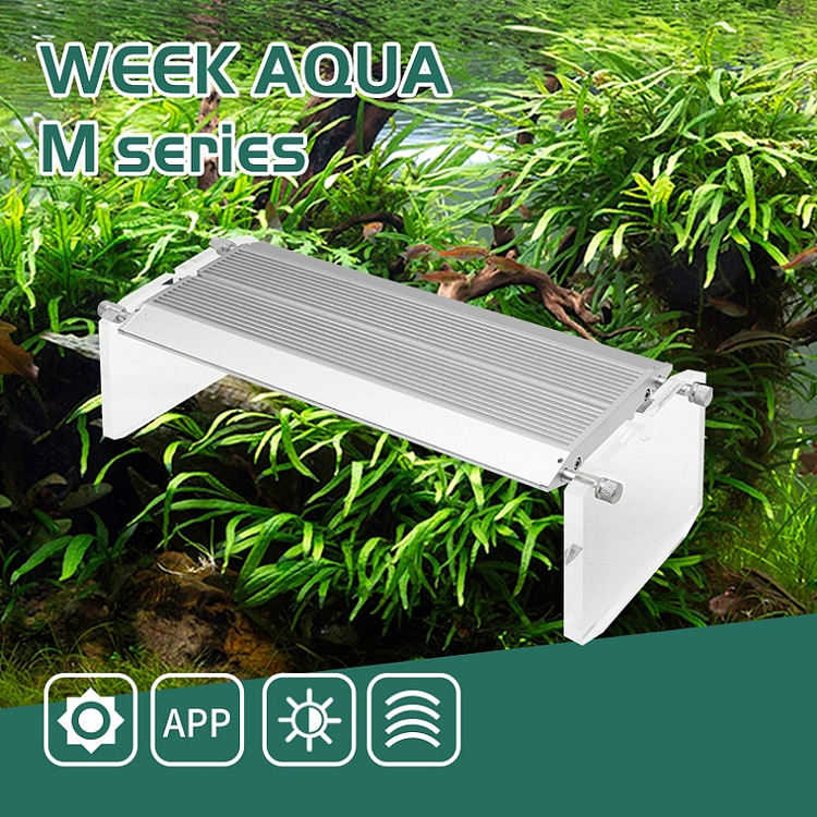 WEEK AQUA Luce LED Vivida per  - Aqua Marine Tank recensione e prezzo